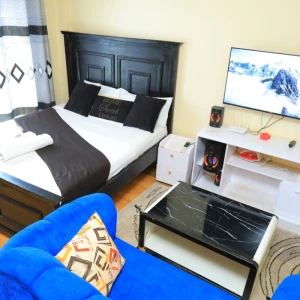 Clean Studio Apartment in Ruiru Kamakis