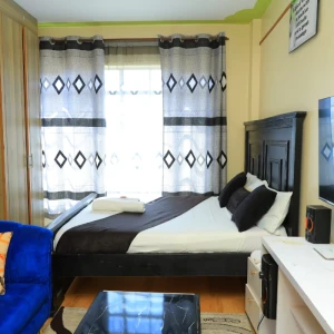 Clean Studio Apartment in Ruiru Kamakis