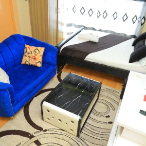 Clean Studio Apartment in Ruiru Kamakis